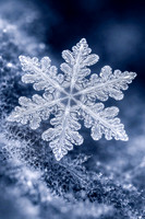 BB27FA37-CA78-46B7-A928-693FCE0F7B94