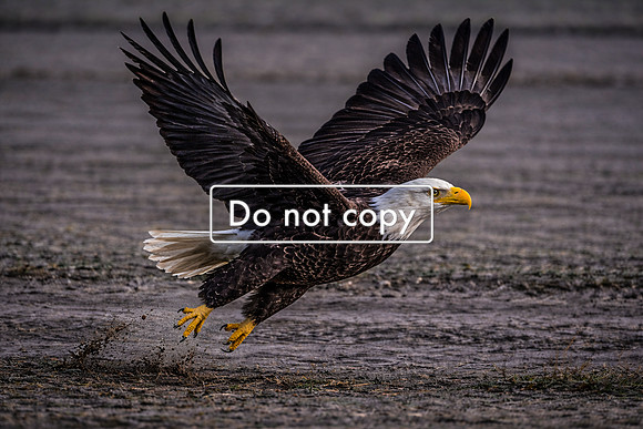 768A7461-E0F1-404B-9656-7D469C06C6C9