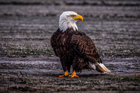 1FB29EC8-2668-49F1-A91E-DBB0028FD81E