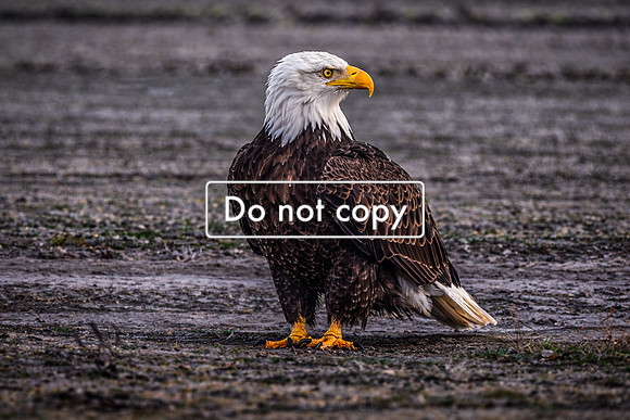 1FB29EC8-2668-49F1-A91E-DBB0028FD81E