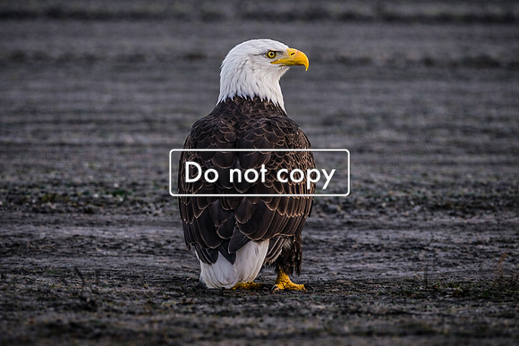 516A0F9C-F38C-44FF-BB31-B3F8CC053E32
