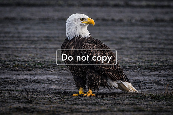38590F80-6F0D-47BC-80FE-0C7A5C64CBCB