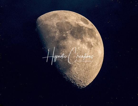BB851E1E-302B-4460-B337-F55378C84938