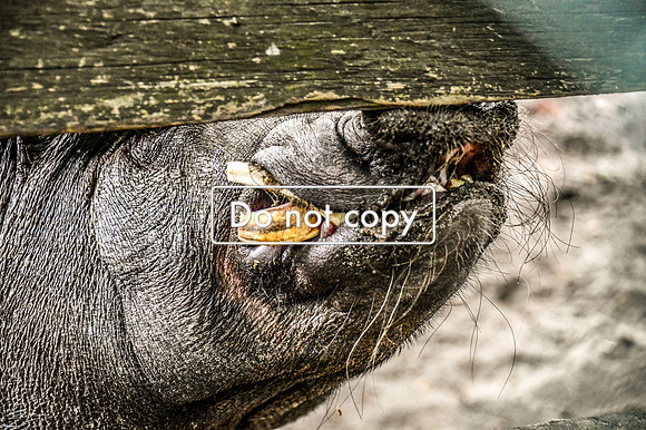 3E51C0BC-DC24-4295-B6EF-22F6040F4A73
