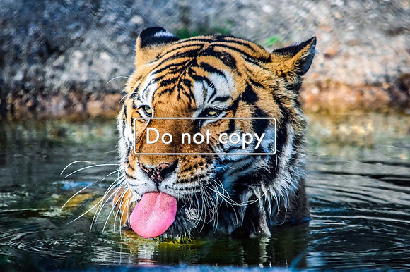 94576561-FFF7-4A80-8836-5FDC06BF425D