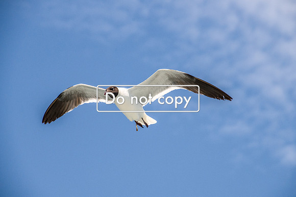5D86442C-661B-4A9E-BFD7-BBC2ADF79DE5